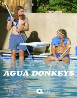 Agua Donkeys