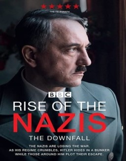 Rise of the Nazis