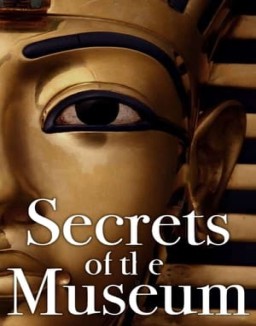 Secrets of the Museum